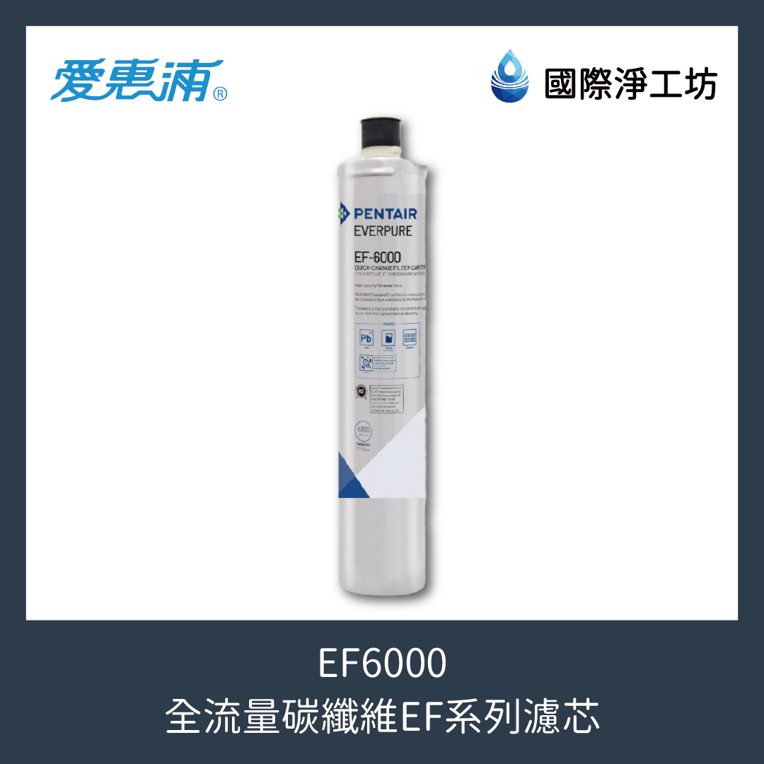 EF6000 全流量碳纖維EF系列濾芯